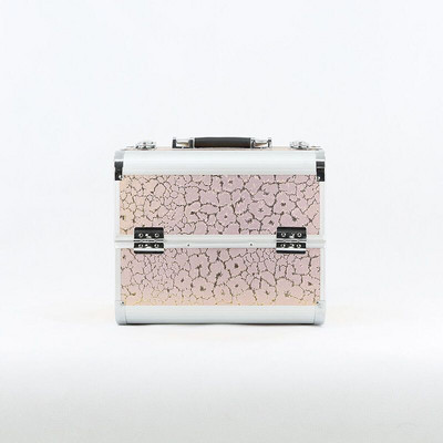 Profesionali kosmetikos dėžutė, tinkanti makiažo laikymui