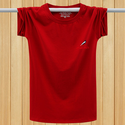 Lühikeste varrukate ja mitmes värvitoonis kirjaga meeste T-särk