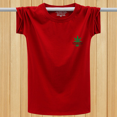 Lühikeste varrukate ja mitmes värvitoonis kirjaga meeste T-särk