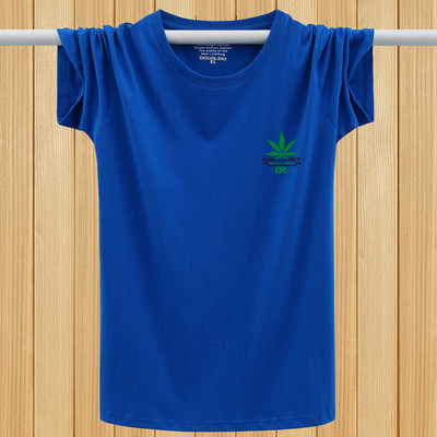 Lühikeste varrukate ja mitmes värvitoonis kirjaga meeste T-särk