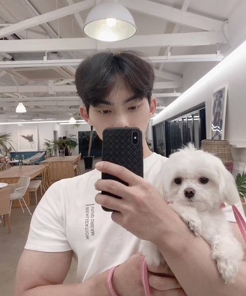 Meeste pealdistega spordit-särk