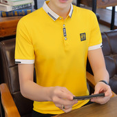 Klassikalise kraega vabaaja meeste pluus mitmes värvitoonis