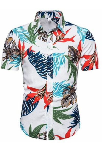 Värviline suvine mitmes värvitoonis klassikalise kraega meestesärk