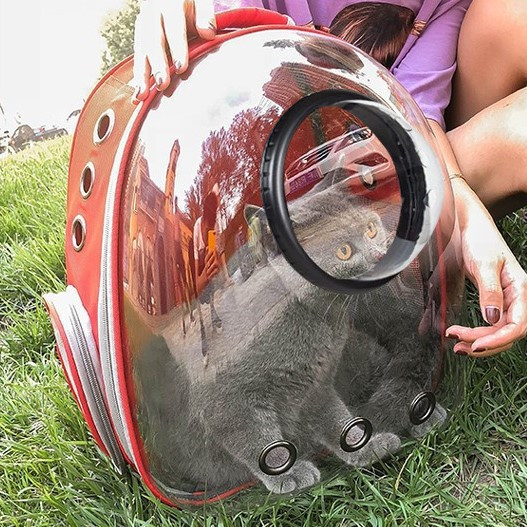 Раница за домашен любимец