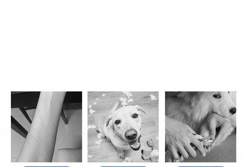 Електрическа пила за нокти за домашен любимец