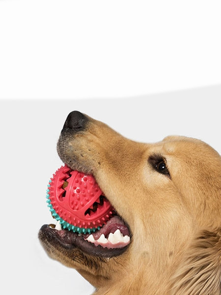 Играчка топка за игра на домашни любимци