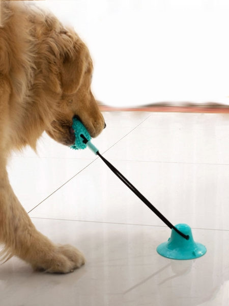 Играчка топка за игра на домашни любимци