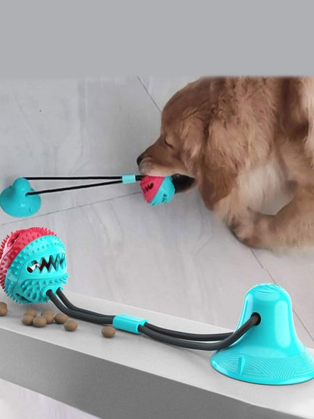 Играчка топка за игра на домашни любимци