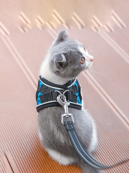 Нагръдник за котка в няколко цвята