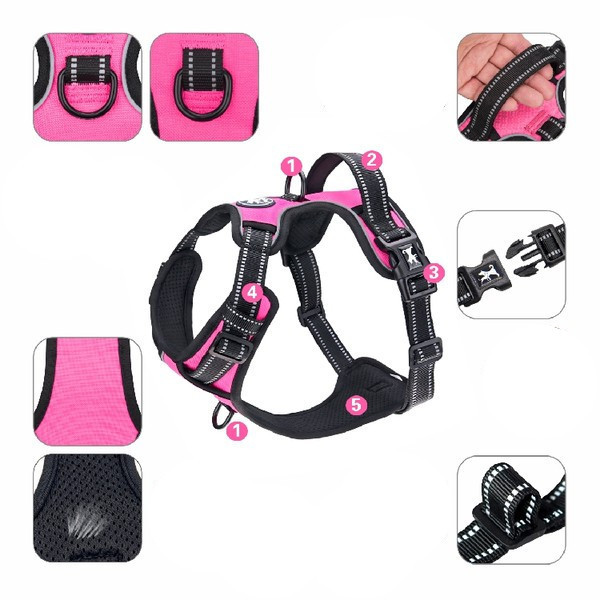 Нагръдник за кучета с повод в няколко цвята