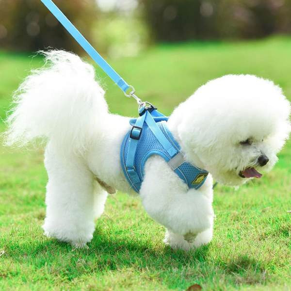 Нагръдник с повод за кучета 