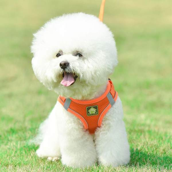 Нагръдник с повод за кучета 