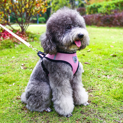 Нагръдник за куче с повод в няколко цвята