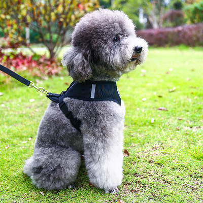 Нагръдник за куче с повод в няколко цвята