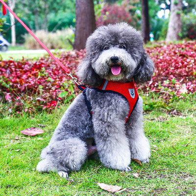 Нагръдник за куче с повод в няколко цвята