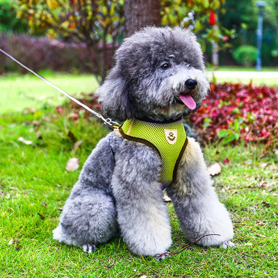 Нагръдник за куче с повод в няколко цвята