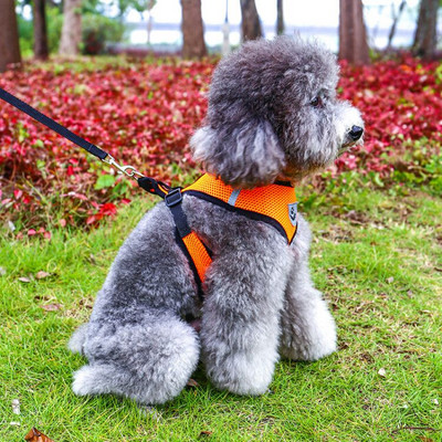 Нагръдник за куче с повод в няколко цвята