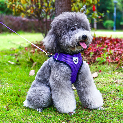 Нагръдник за куче с повод в няколко цвята