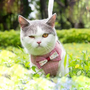Σαμαράκι με λουρί για γάτες - αρκετά μοντέλα
