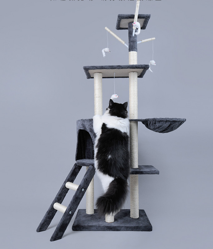 Daugiafunkcinis kačių alpinistas katėms