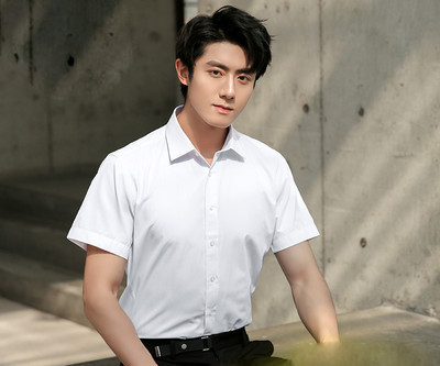 Ежедневна мъжка риза с класическа яка и къс ръкав - няколко цвята