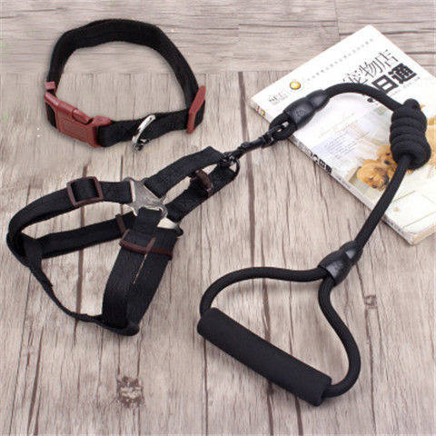 Каишка за кучета няколко цвята 