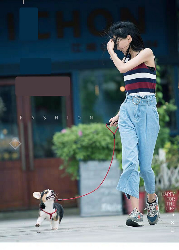 Каишка за кучета няколко цвята 