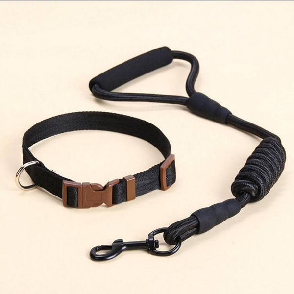 Каишка за кучета няколко цвята 