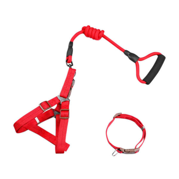 Каишка за кучета няколко цвята 