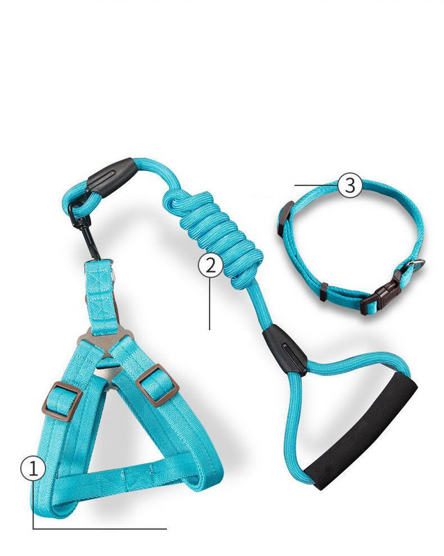 Каишка за кучета няколко цвята 