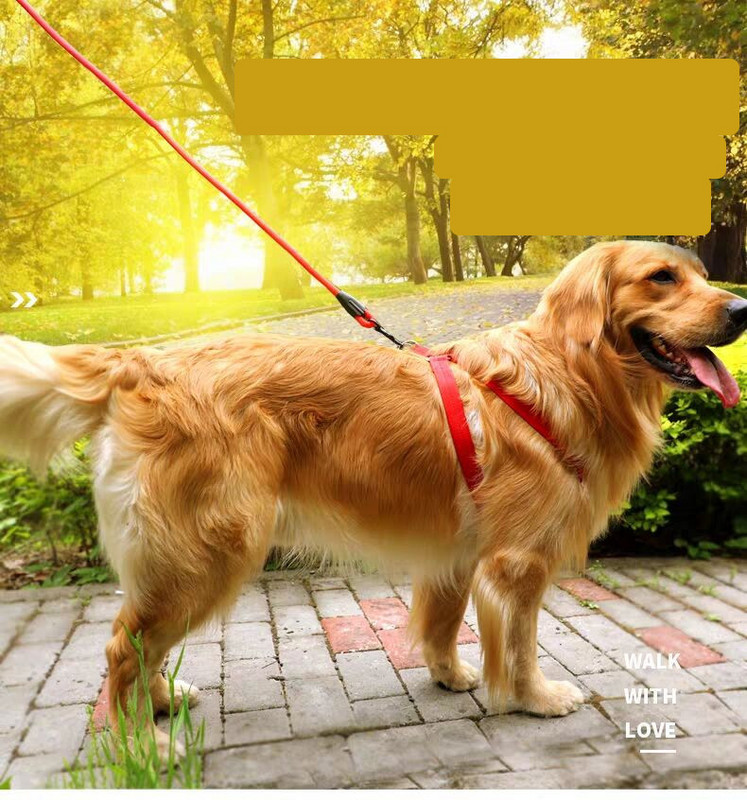 Каишка за кучета няколко цвята 