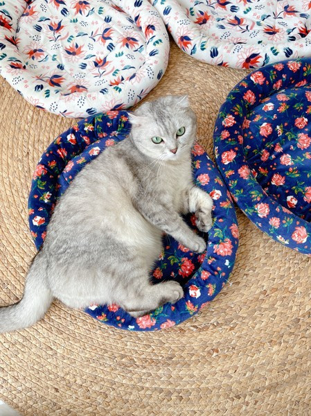 Мека възглавница за домашни любимци в син и бял цвят 