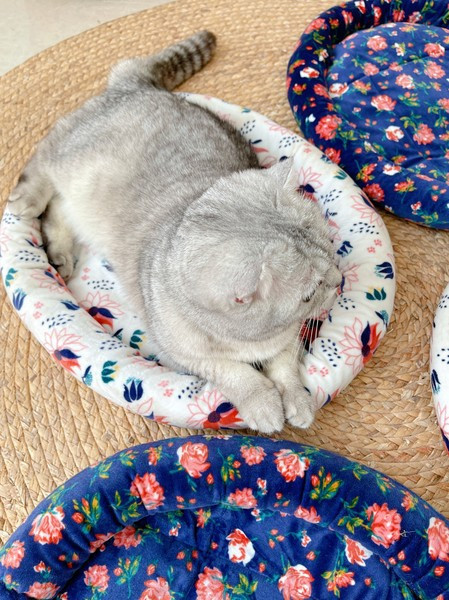 Мека възглавница за домашни любимци в син и бял цвят 