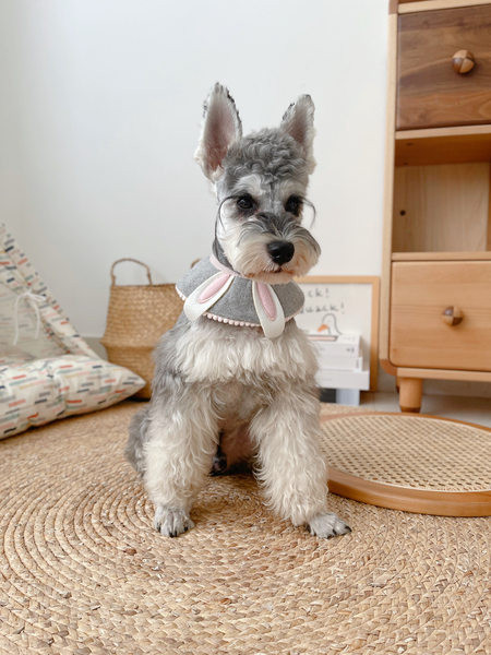 Регулируем аксесоар за домашен любимец с 3D елемент 