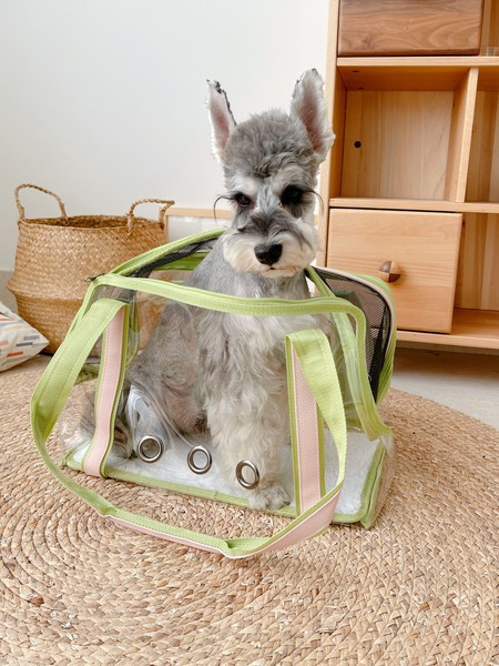 Преносима прозрачна чанта за домашни любимци с цип 