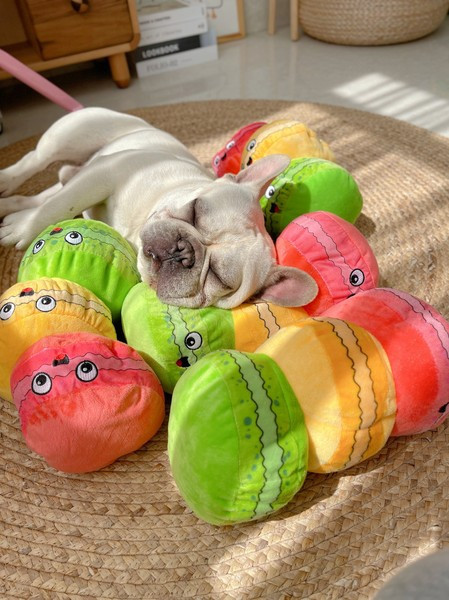 Μαξιλάρι - ένα παιχνίδι για κατοικίδια