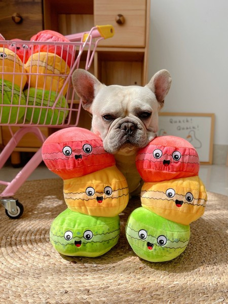 Μαξιλάρι - ένα παιχνίδι για κατοικίδια