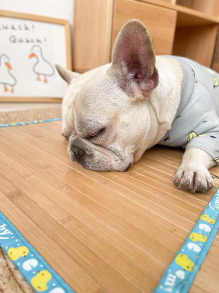 Бамбукова постелка подходяща за домашни любимци 