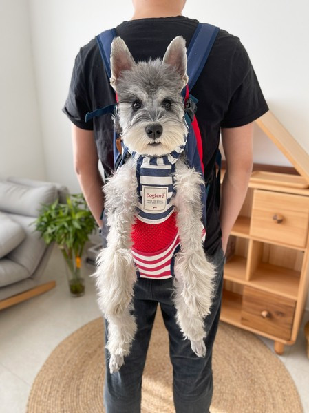 Υφασμάτινο σακίδιο κατάλληλο για κατοικίδια