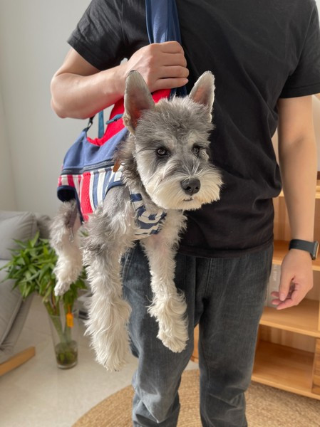 Υφασμάτινο σακίδιο κατάλληλο για κατοικίδια