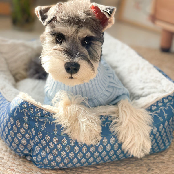 Tekivoodi lemmikloomadele