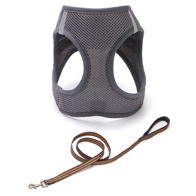 Rihmaga rinnahoidja kassidele mitmes värvitoonis