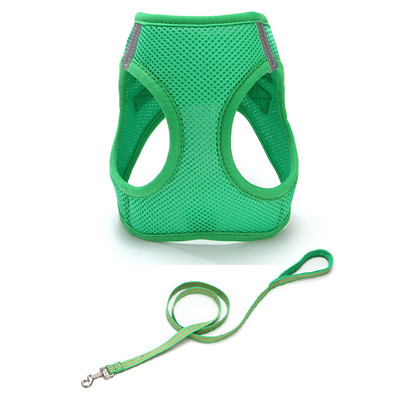 Rihmaga rinnahoidja kassidele mitmes värvitoonis