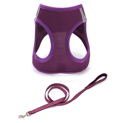 Rihmaga rinnahoidja kassidele mitmes värvitoonis