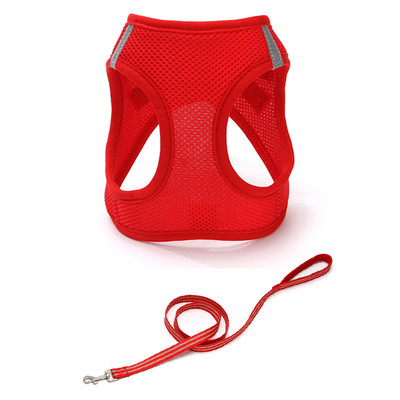 Rihmaga rinnahoidja kassidele mitmes värvitoonis