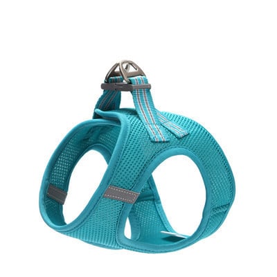 Rihmaga rinnahoidja kassidele mitmes värvitoonis