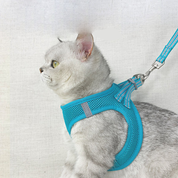 Rihmaga rinnahoidja kassidele mitmes värvitoonis