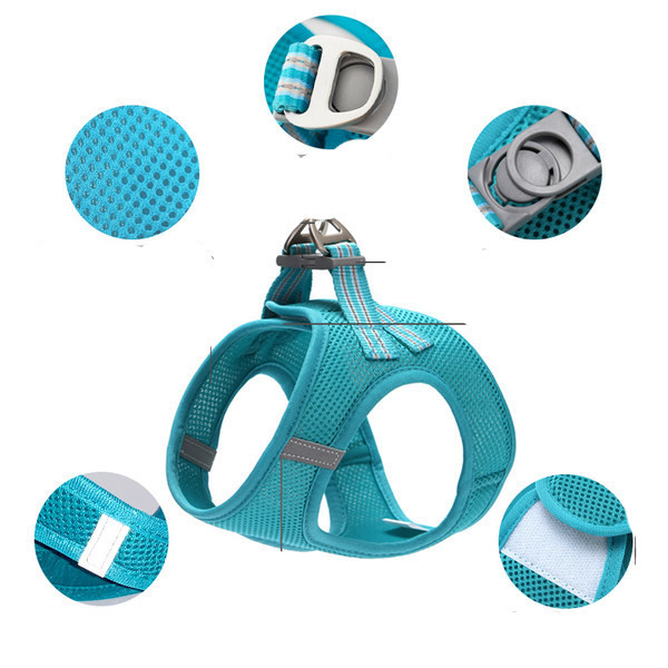 Rihmaga rinnahoidja kassidele mitmes värvitoonis