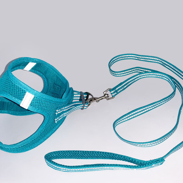 Rihmaga rinnahoidja kassidele mitmes värvitoonis