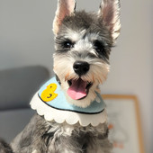 Oprsnica za pse sa aplikacijom